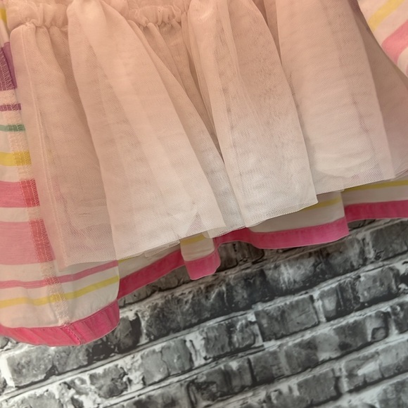 Savannah‎ - Picture 3 of 10